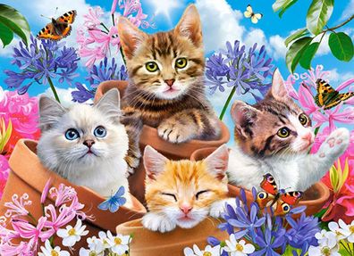 Castorland B-070107 Kittens with Flowers Puzzle 70 Teile