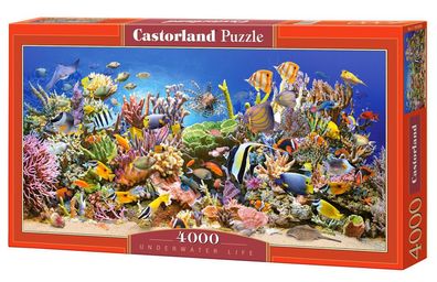 Castorland C-400089-2 Underwater life, Puzzle 4000 Teile