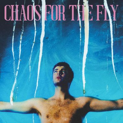 Grian Chatten: Chaos For The Fly - - (CD / C)