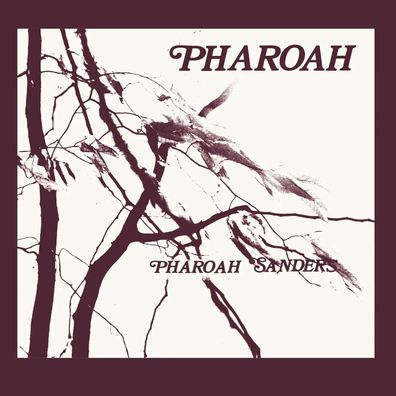 Pharoah Sanders (1940-2022): Pharoah (Deluxe Boxset) - - (CD / P)