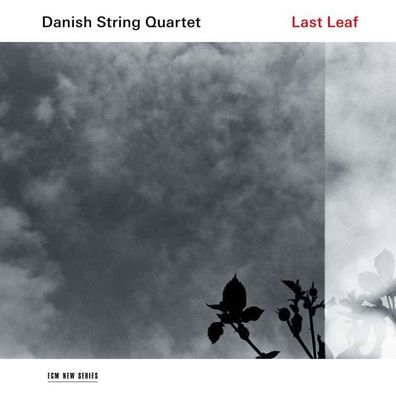 Danish String Quartet - Last Leaf (180g) - ECM - (Vinyl / Classic)