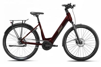 Green´s Elektro-Fahrrad Bromley ER625 Bosch Performance 8-Gang Rücktritt 49 cm 2024