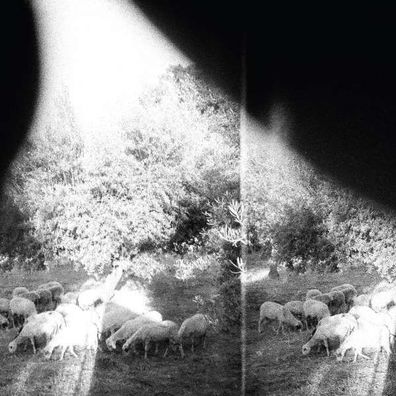 Godspeed You! Black Emperor: Asunder, Sweet And Other Distress (180g) - Constellat 0