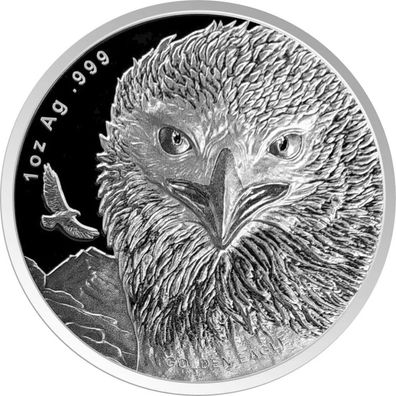 Silbermünze Samoa Golden Eagle 2024 1 oz Steinadler 999 Silber Prooflike (2)