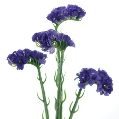 DPI Statice - Limonium Blauviolett ca. 65 cm - Kunstblumen