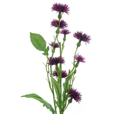 GASPER Mini-Disteln Violett ca. 55 cm - Kunstblumen
