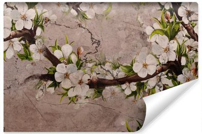 Muralo Vlies Selbstklebende Fototapete Kirschblüten BLUMEN Beton Natur Wanddeko