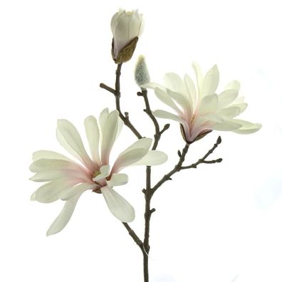 GASPER Sternmagnolie Weiß mit rosa Schlund 47 cm - Kunstblumen