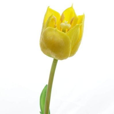 GASPER Tulpe Gelb mit zwei Blättern 46 cm - Kunstblumen