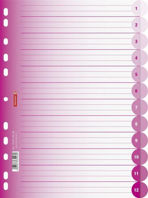 Brunnen 106659526 Ringbuchregister Colour Code, A4, 12 Blatt, pink