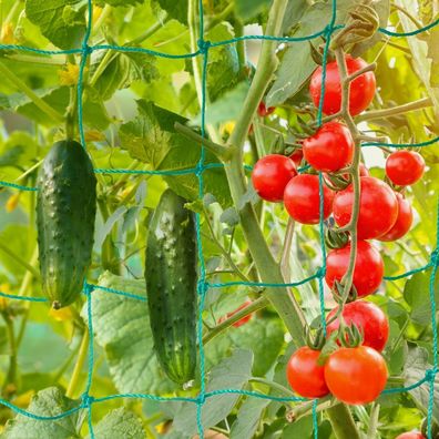 Plantavio Ranknetz Rankhilfe fur Gurken Tomaten Bohnen Gewächshaus 2,5 x 2 Meter