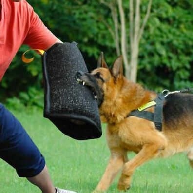 Young Dogs Training Arm Bite Sleeve Intermediate fur K9 Dogs Schutzhund Sheriff