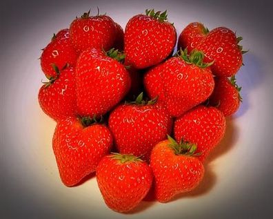 10 Erdbeerpflanzen = ein 10erTray Fragaria Hängeerdbeere 10erTray gewachsen win