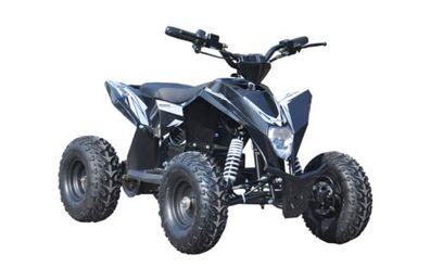 E-Quad E-ATV für Kinder Schwarz Elektroantrieb 100 x 60 x 68 cm max. 65 kg 220V