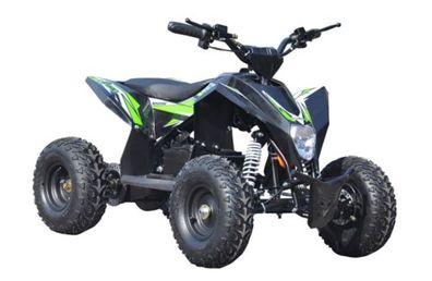 E-Quad E-ATV für Kinder Elektroantrieb Grün 100 x 60 x 68 cm max. 65 kg 220V