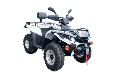 Linhai 300 Quad ATV montiert 275 ccm Allrad elektrische Seilwinde E-Start weiß