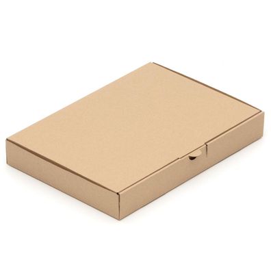 400 Maxibrief Maxibriefkartons DIN A4 B4 Kartons 350x250x50mm