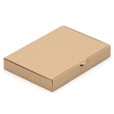 100 Warensendungen 305 x 220 x 44 Maxibriefkarton Post Maxibrief Karton BRAUN