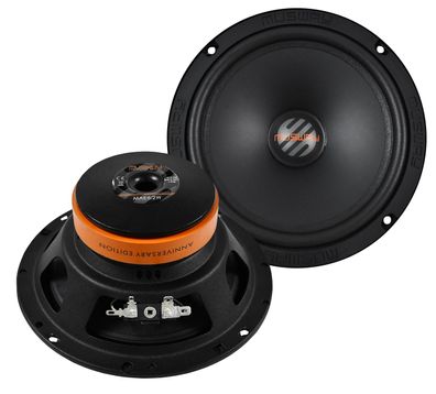 MUSWAY Woofer Subwoofer Bass Tiefton 16,5 cm MAE6.2W