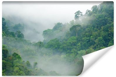 Muralo Vlies Selbstklebende Fototapete Tropenwald Bäume im Nebel Landschaft 3D