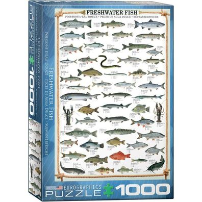 Eurographics Süßwasserfisch-Puzzle 1000 Teile