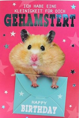 lustige Geburtstagskarte Geldumschlag Karte Hamster Glückwunschkarte Geburtstag