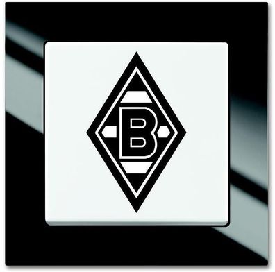 Busch-Jaeger 2000/6 UJ/05 Fanschalter Borussia Mönchengladbach, Bundesliga ...