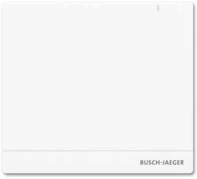 Busch-Jaeger SAP/ S.13 System Access Point 2.0 für Busch-free@home® (2CKA00...