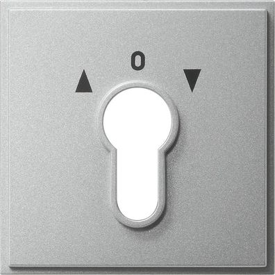 Gira 066465 Abdeckung für Schlüsselschalter 2polig und Schlüsseltaster 1p...