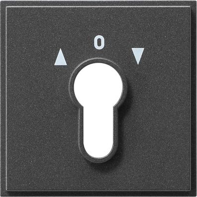 Gira 066467 Abdeckung für Schlüsselschalter 2polig und Schlüsseltaster 1p...