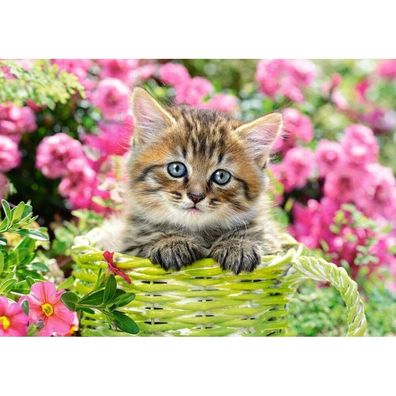 Castorland Puzzle Katze im Blumengarten 500 Teile