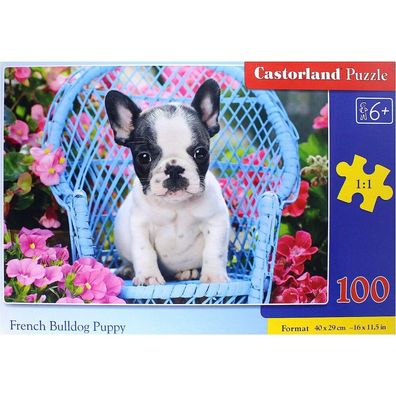 Castorland Französische Bulldogge Welpe Puzzle 100 Teile