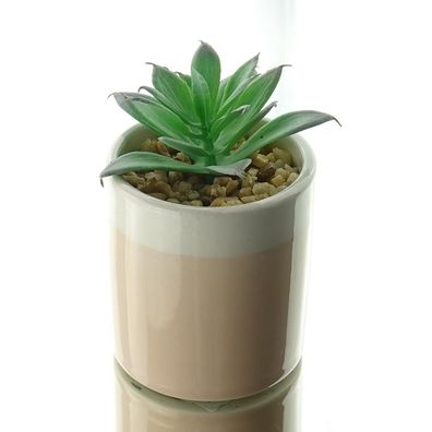Kaemingk Mini-Sukkulente im beigen Steingut-Topf 10 cm - Kunstpflanzen