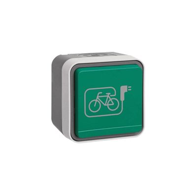 Berker 47403533 Steckdose SCHUKO, mit grünem Klappdeckel, Symbol E-Bike Ap ...