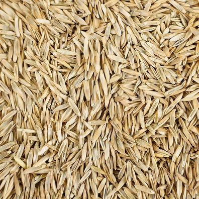 Grassamen für Vögel und Nager 3 kg