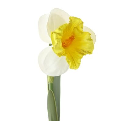 DPI Osterglocke - Narzisse Weiß & Gelb und zwei Blättern 43 cm - Kunstblumen
