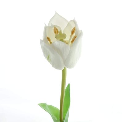 GASPER Tulpe Weiß mit zwei Blättern 46 cm - Kunstblumen