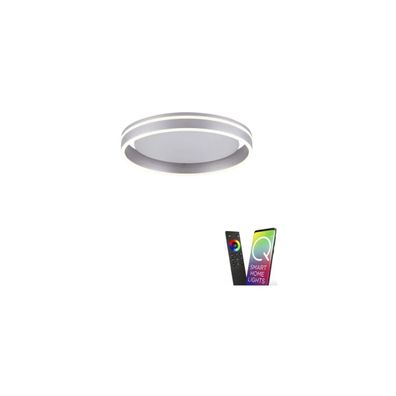 Paul Neuhaus Q-Vito LED-Deckenleuchte, 28W, 3000lm, Smart Home, silber (8414...