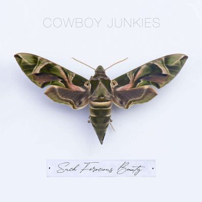 Cowboy Junkies: Such Ferocious Beauty - - (CD / S)