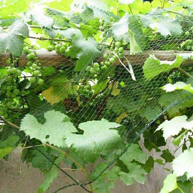 4pcs 4mx5m Vogelschutznetz Vogelnetz Laubschutznetz Gartennetz Teichnetz Orchard