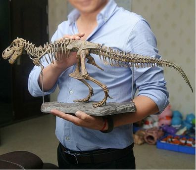 T Rex Tyrannosaurus Dinosaurier 4d montiertes Skelett fossiles Modell Spielzeug