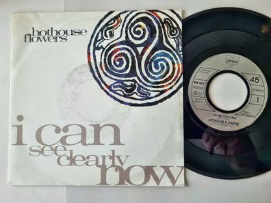 Hothouse Flowers - I can see clearly now 7'' Vinyl Germany