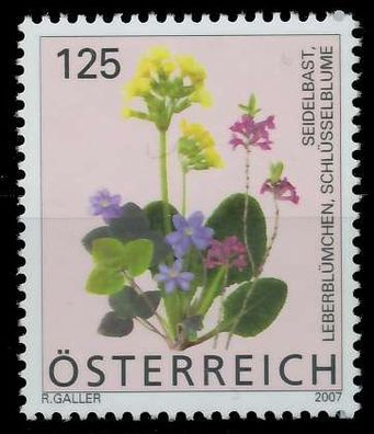 Österreich 2007 Nr 2633 postfrisch S37DCCE