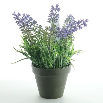 Kaemingk Lavendel im schwarzen Topf Ø 7 cm - Kunstpflanzen