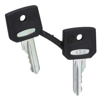 Schneider Electric Ersatzschlüssel für Schlüsselschalter, Nummer 455 (ZBG...