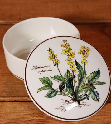 Villeroy & Boch Porzellan Botanica Bonboniere 12,5 cm Agrimonia eupatoria #W