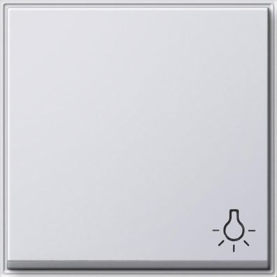 Wippe mit Symbol für Wippschalter und Wipptaster Licht, TX 44 Unterputz Was...