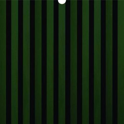SKIVA Frontscheibe passend für IKEA® KALLAX grün schwarz 0073