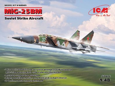 ICM 1:48 48905 MiG-25 BM, Soviet Strike Aircraft