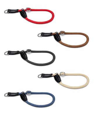 lionto Hundehalsband Retrieverhalsband Dressurhalsband verschiedene Farben und Längen
